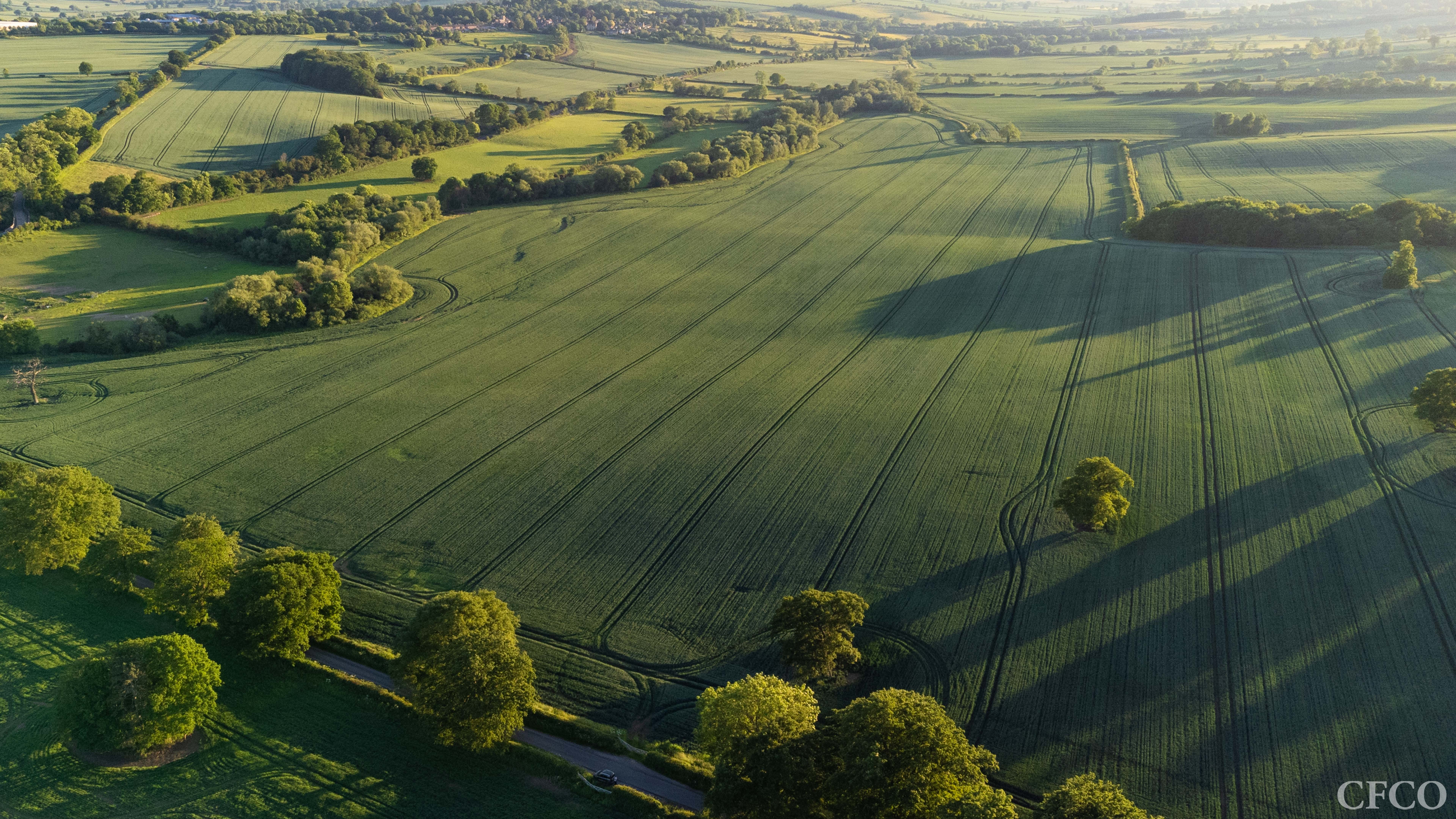 South Park, Lyndon - A 30ha field of winter wheat developing well in early June.