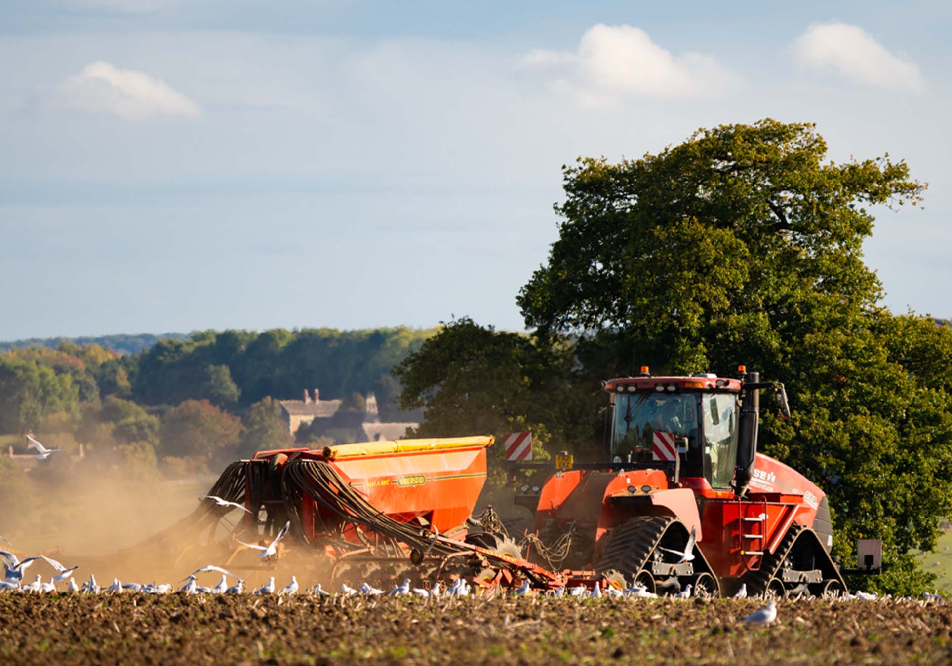 Case Quadtrac 580 & Väderstad Rapid A 800C Drill - Capturing late afternoon light during autumn drilling.