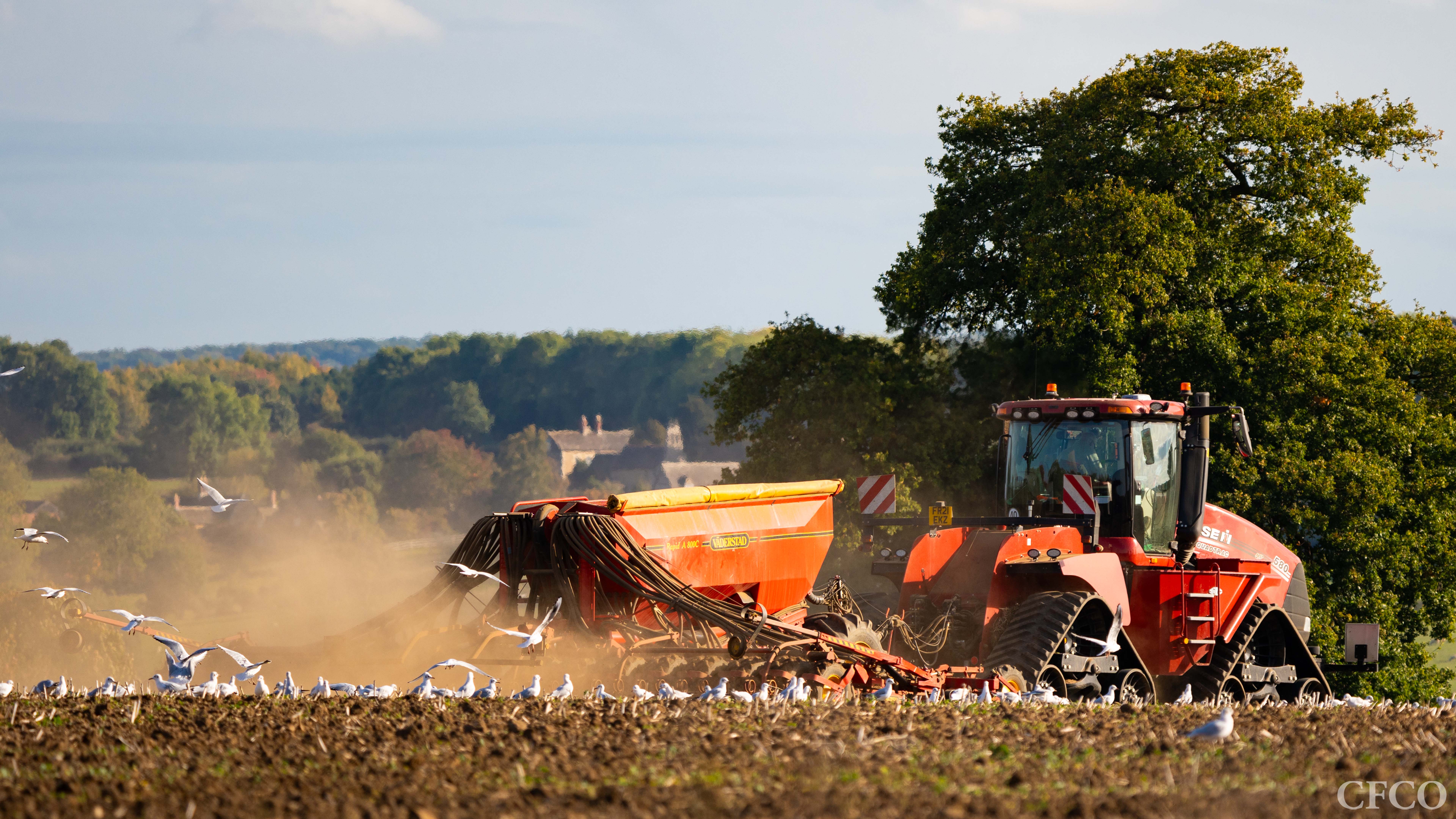 Case Quadtrac 580 & Väderstad Rapid A 800C Drill - Capturing late afternoon light during autumn drilling.