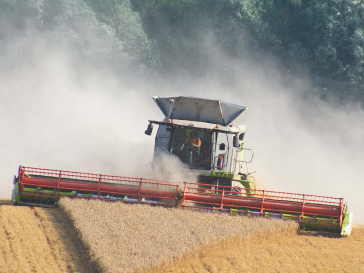 Mo cutting shapes! CFCO has always run the largest Claas combines - this Lexion 780 offered outstanding output.