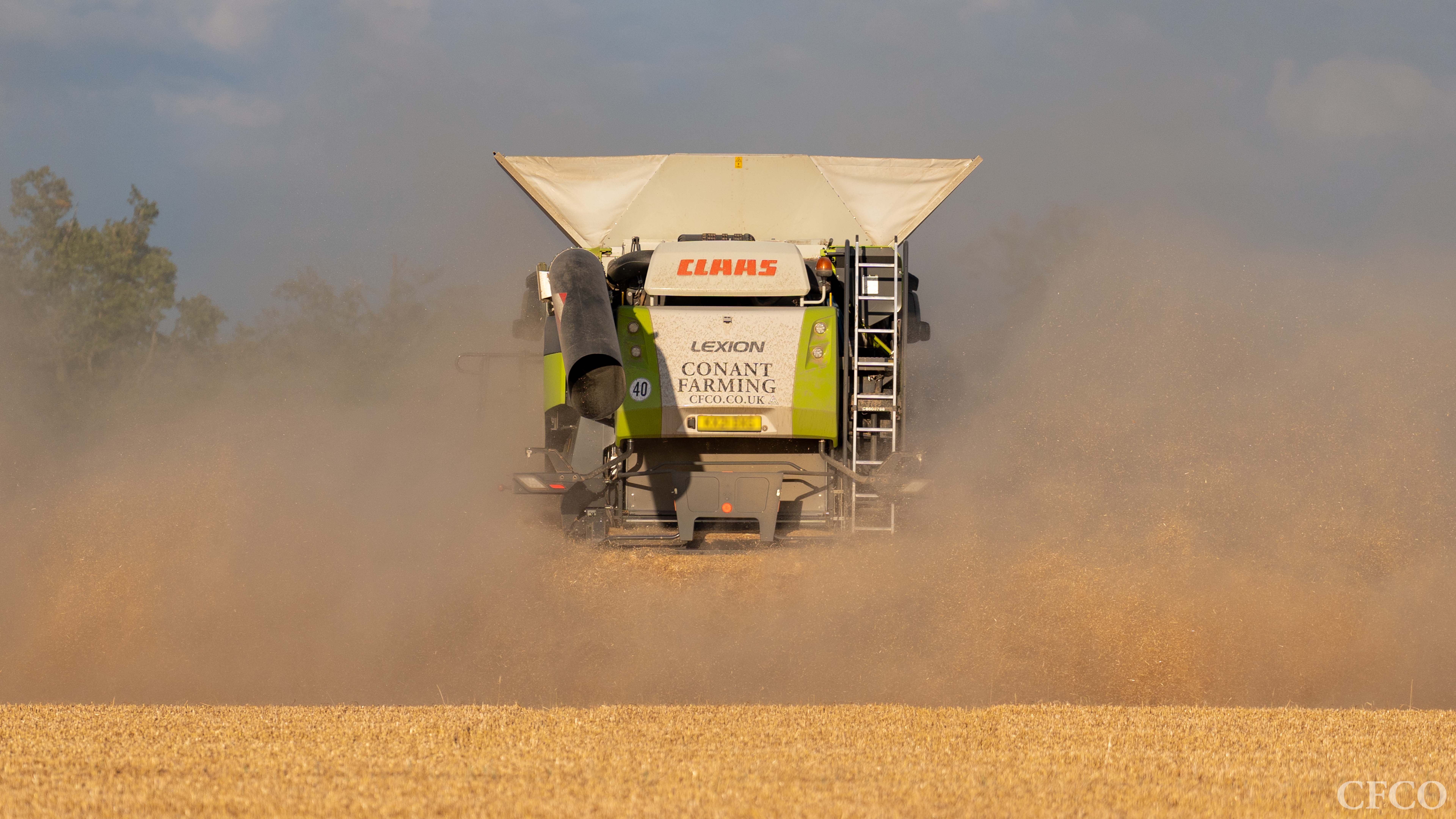 Claas Lexion combine disappearing into the dust leaving a trimmed stubble carpet in its wake.