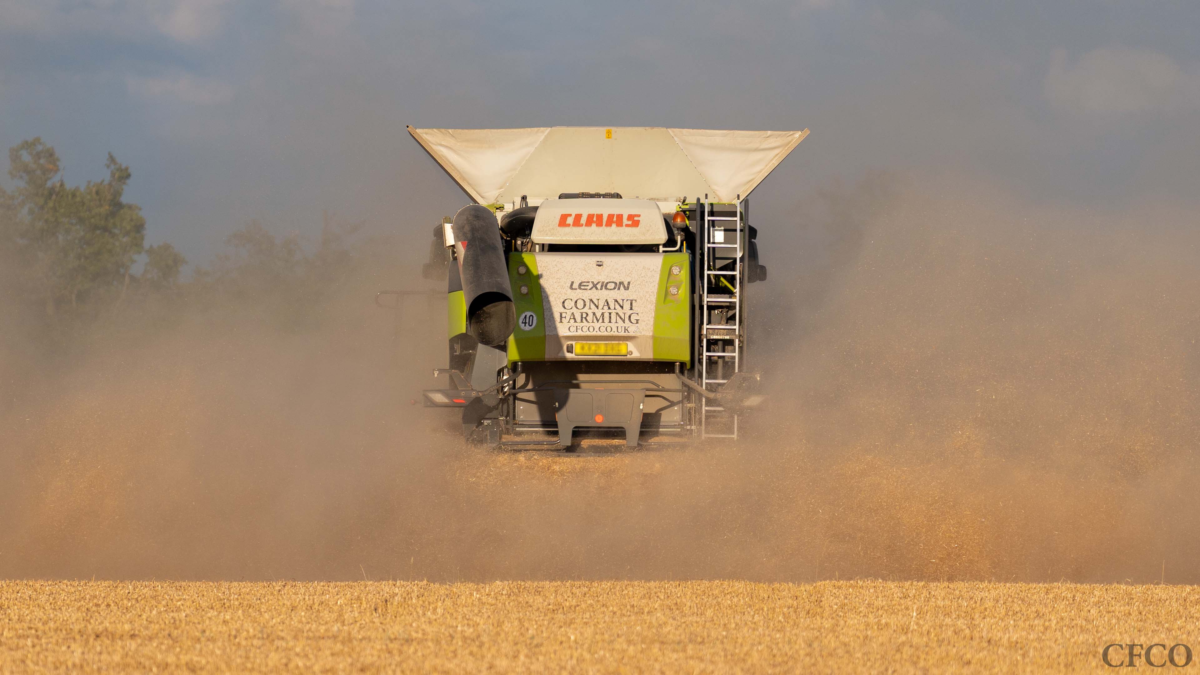 Claas Lexion combine disappearing into the dust leaving a trimmed stubble carpet in its wake.