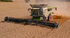 Claas Lexion 8800 Combine Harvester - One of the CFCO machines cutting winter wheat in Rutland.