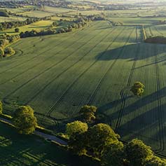 South Park, Lyndon - A 30ha field of winter wheat developing well in early June.