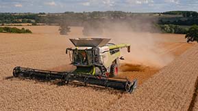 Claas Lexion 8800 Combine Harvester - One of the CFCO machines cutting winter wheat in Rutland.