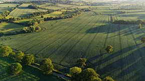 South Park, Lyndon - A 30ha field of winter wheat developing well in early June.