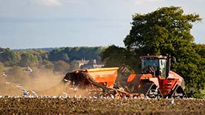 Case Quadtrac 580 & Väderstad Rapid A 800C Drill - Capturing late afternoon light during autumn drilling.