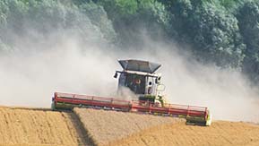 Mo cutting shapes! CFCO has always run the largest Claas combines - this Lexion 780 offered outstanding output.