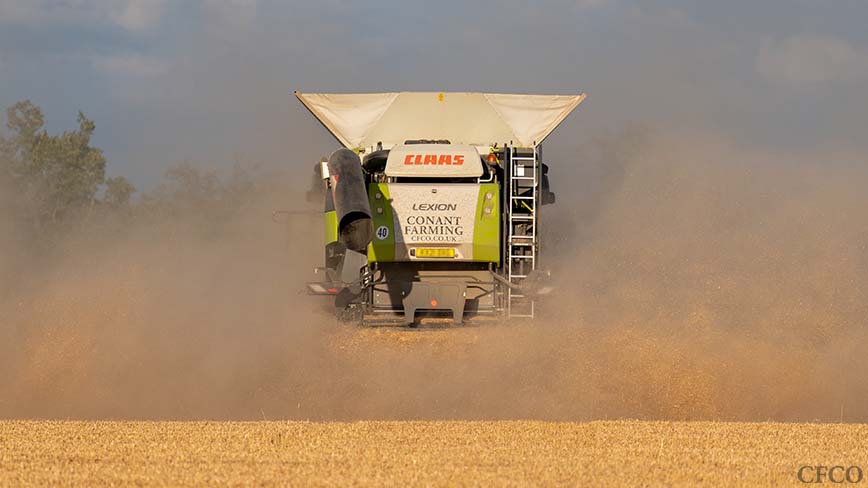 Claas Lexion combine disappearing into the dust leaving a trimmed stubble carpet in its wake.