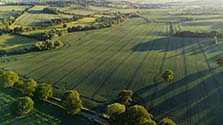 South Park, Lyndon - A 30ha field of winter wheat developing well in early June.