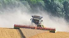 Mo cutting shapes! CFCO has always run the largest Claas combines - this Lexion 780 offered outstanding output.
