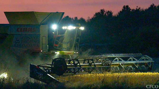 Tom harvesting into the night getting headlands cut following a spectacular sunset in Northamptonshire.