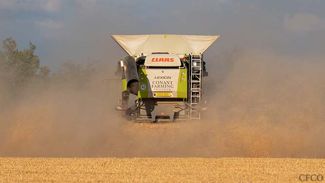 Claas Lexion combine disappearing into the dust leaving a trimmed stubble carpet in its wake.