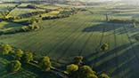 South Park, Lyndon - A 30ha field of winter wheat developing well in early June.