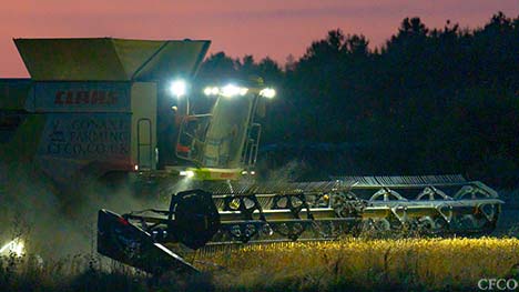 Tom harvesting into the night getting headlands cut following a spectacular sunset in Northamptonshire.