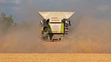 Claas Lexion combine disappearing into the dust leaving a trimmed stubble carpet in its wake.