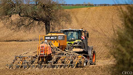 Claas Axion 960 TT (445hp/327kW) & Mzuri Pro-Til 6T - Strip-till drilling into over-wintered stubble on a beautiful spring day.