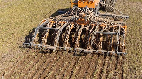 Drilling into established green cover