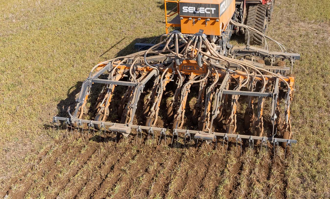 Drilling into established green cover