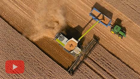Conant Farming Claas Lexion 8800 Combine Harvester (In Wheat)