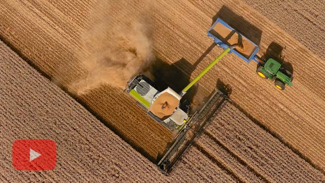 Conant Farming Claas Lexion 8800 Combine Harvester (In Wheat)