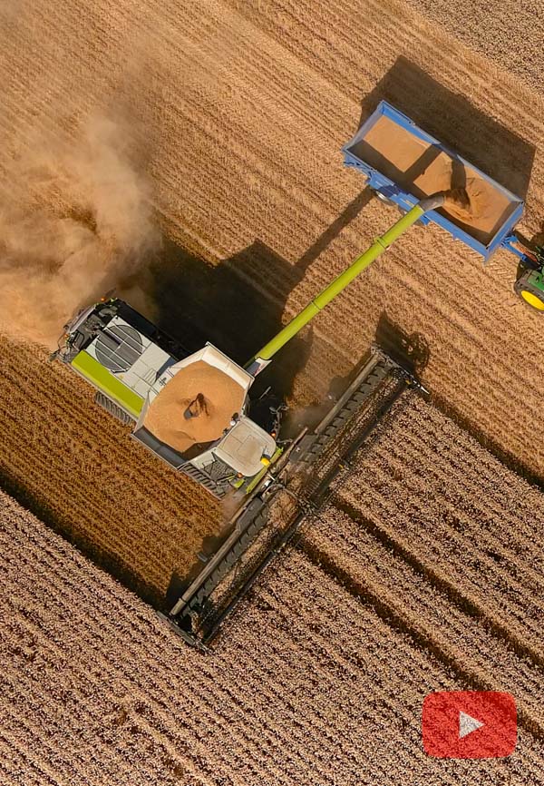 Conant Farming Claas Lexion 8800 Combine Harvester (In Wheat)