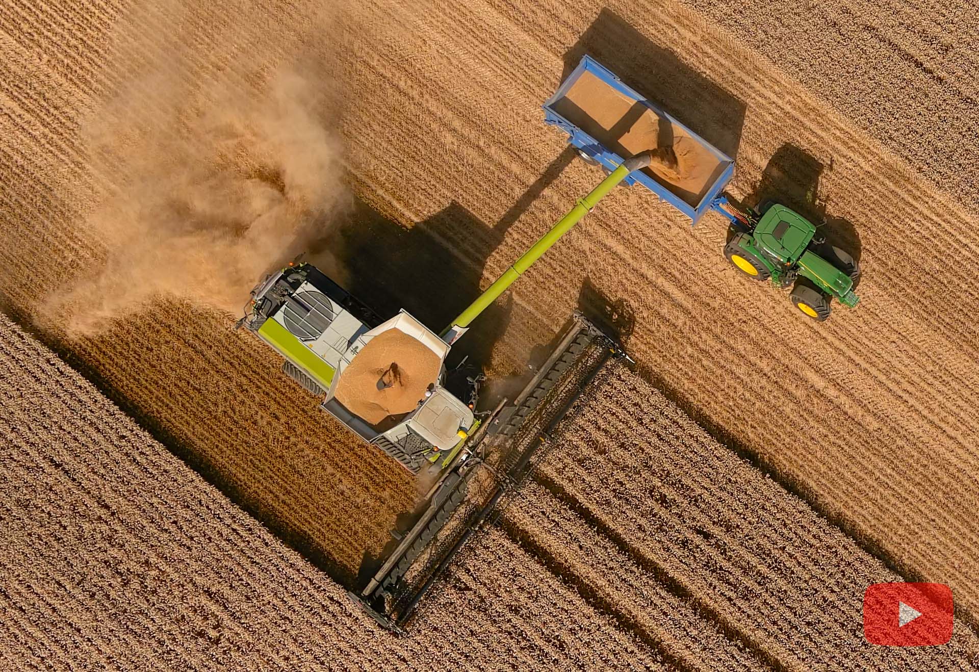 Conant Farming Claas Lexion 8800 Combine Harvester (In Wheat)